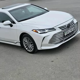 Toyota Avalon 2019