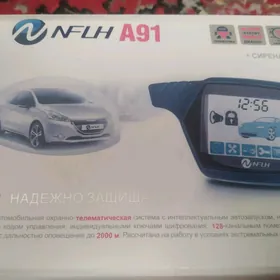 star line signalizasiya