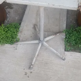 weşilka ayak