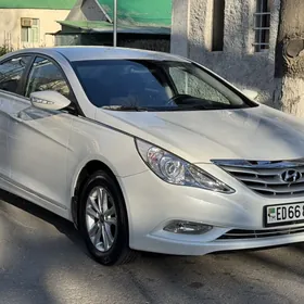 Hyundai Sonata 2010