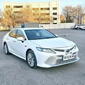 Toyota Camry 2019