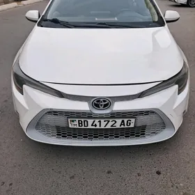 Toyota Corolla 2019