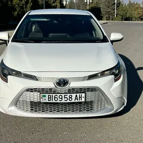 Toyota Corolla 2020