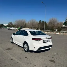 Toyota Corolla 2020