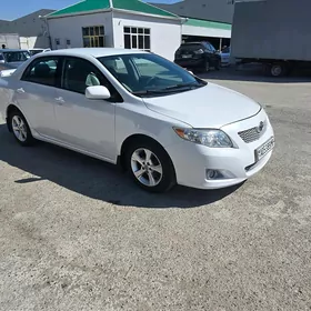 Toyota Corolla 2010