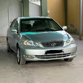 Toyota Corolla 2005