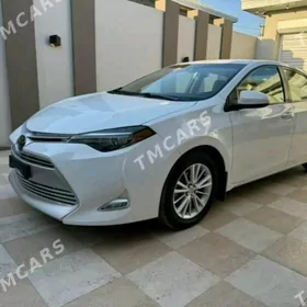 Toyota Corolla 2019