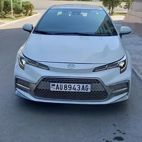 Toyota Corolla 2019