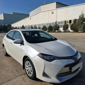 Toyota Corolla 2019