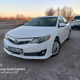 Toyota Camry 2013