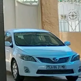 Toyota Corolla 2011