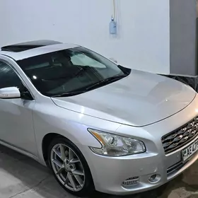 Nissan Maxima 2011