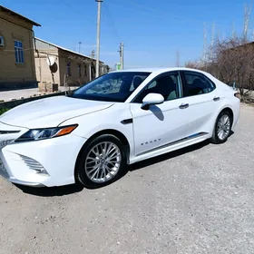 Toyota Camry 2019