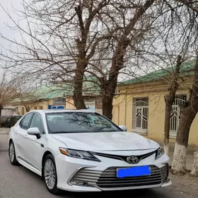 Toyota Camry 2019