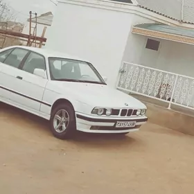 BMW 525 1991