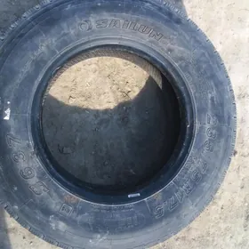 ayak