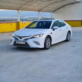 Toyota Camry 2019