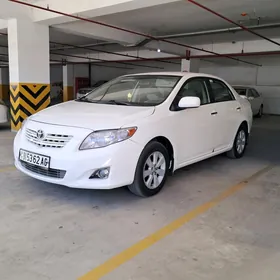 Toyota Corolla 2008