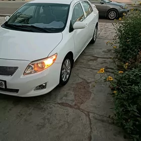 Toyota Corolla 2010