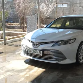 Toyota Camry 2019