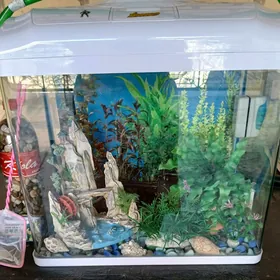 AKVARIUM