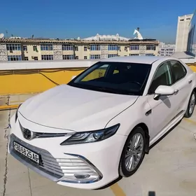 Toyota Camry 2019