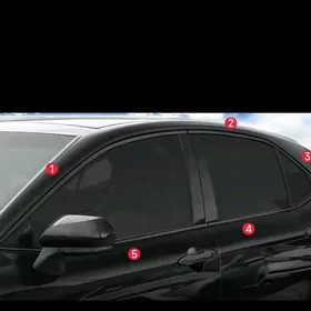 Camry nikel