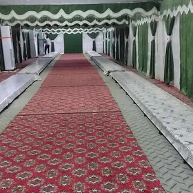 6.12 Gummez palata