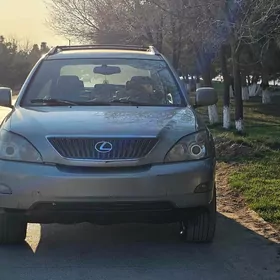 Lexus RX 330 2006