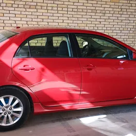 Toyota Corolla 2010