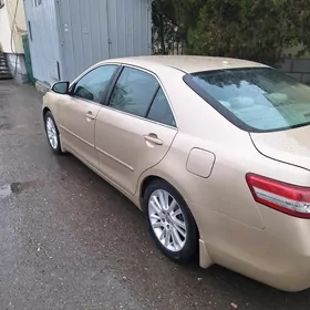 Toyota Camry 2010