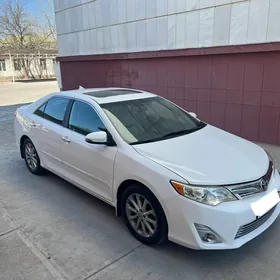 Toyota Camry 2013