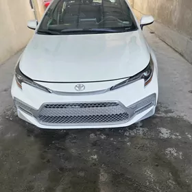 Toyota Corolla 2019