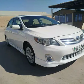 Toyota Corolla 2010