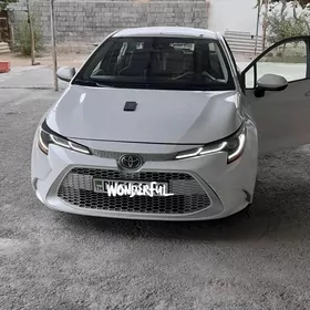 Toyota Corolla 2020