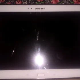Samsunic