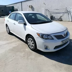 Toyota Corolla 2011