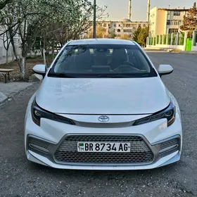 Toyota Corolla 2019