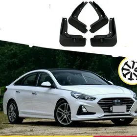 H-Sonata 2018-2019ý. bryzgowik