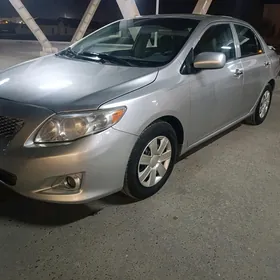 Toyota Corolla 2010