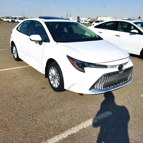 Toyota Corolla 2020