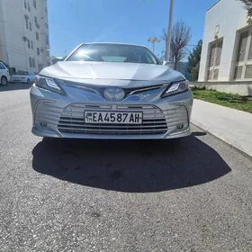 Toyota Camry 2019