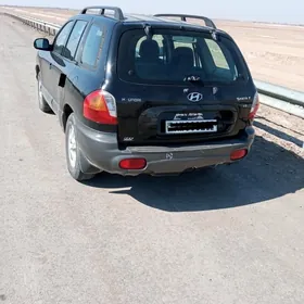 Hyundai Santa Fe 2002