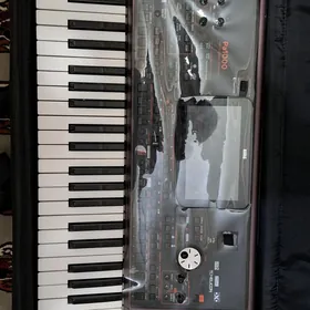 KORG PA1000