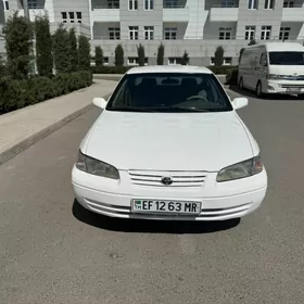 Toyota Camry 1999