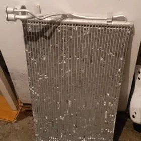 sonata radiator