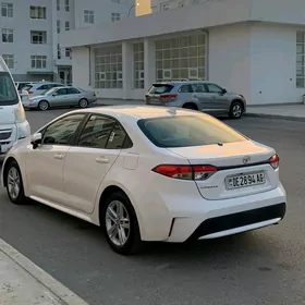 Toyota Corolla 2020