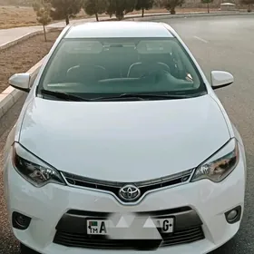 Toyota Corolla 2014