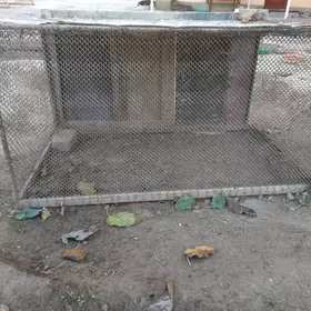 Towuk ketek