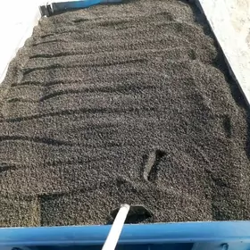 Miti sement dastawka mugt